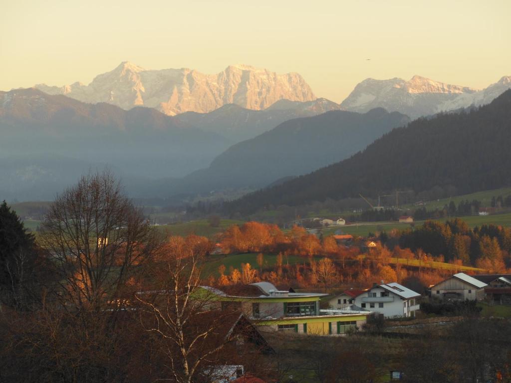 Parkhotel Tannenhof Oy-Mittelberg Dış mekan fotoğraf